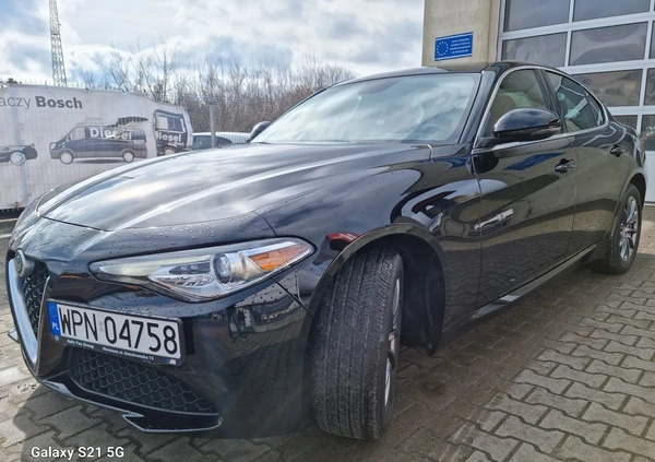 Alfa Romeo Giulia cena 115900 przebieg: 19000, rok produkcji 2019 z Płońsk małe 154